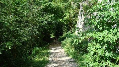 Walking Day Out, Ariege